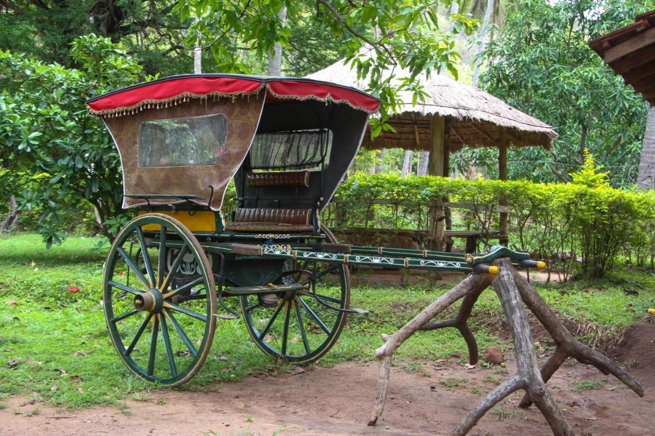 Eco Village Kalundewa Dambulla Bagian luar foto