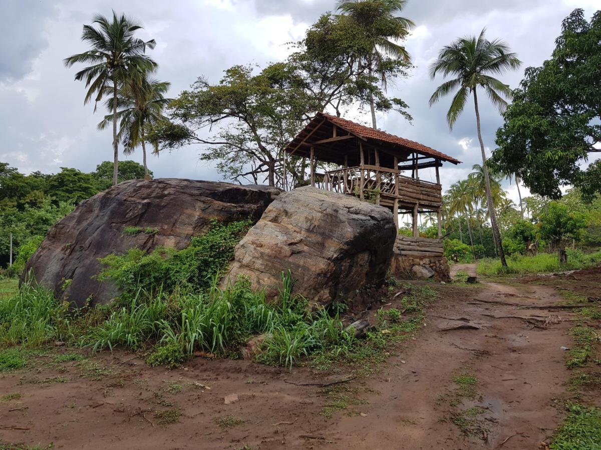 Eco Village Kalundewa Dambulla Bagian luar foto