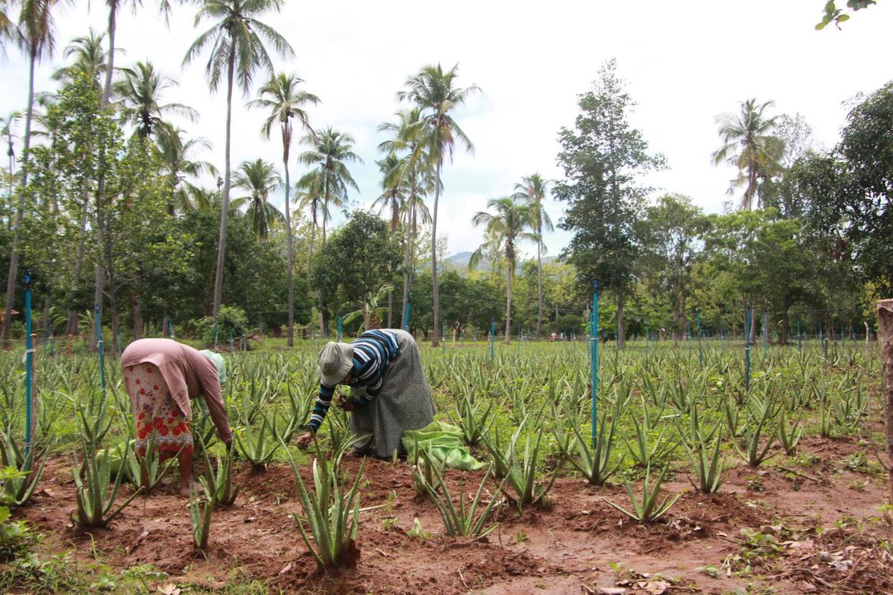 Eco Village Kalundewa Dambulla Bagian luar foto