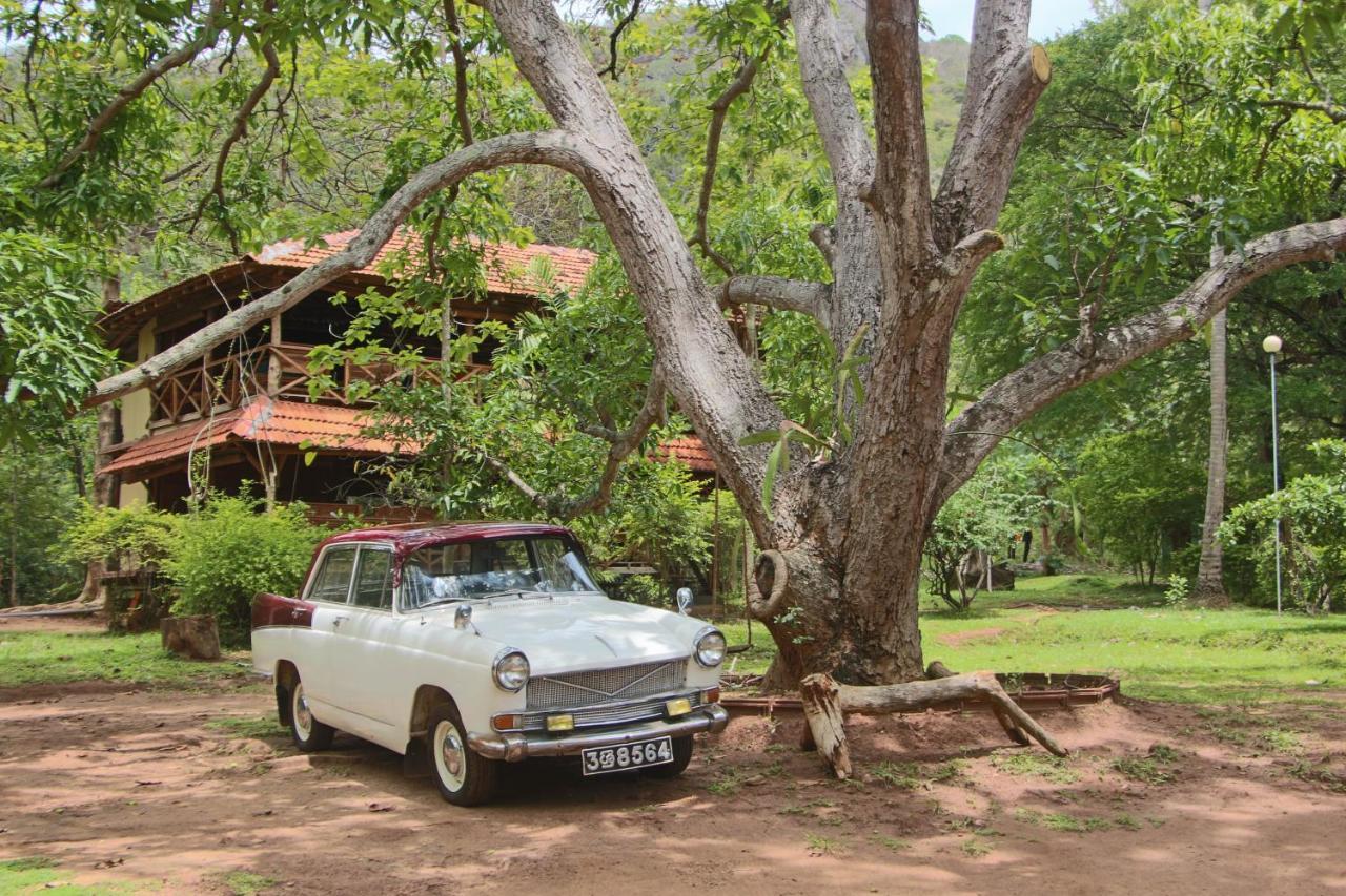 Eco Village Kalundewa Dambulla Bagian luar foto